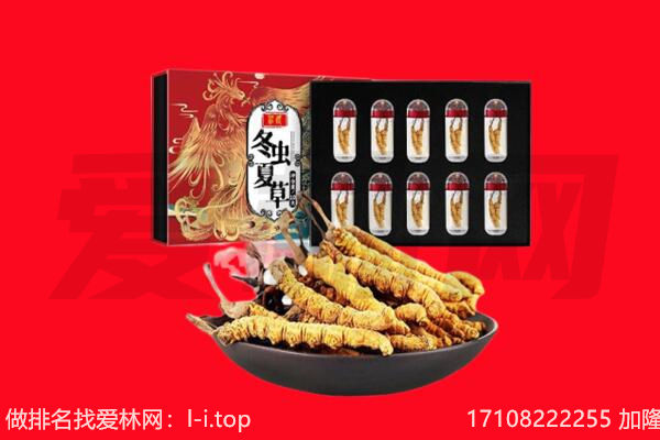 红桥区回收虫草.jpg